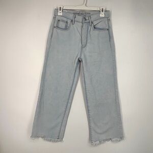American Eagle Outfitters Womens Size 2 Cropped Jeans Light Blue Straight Leg